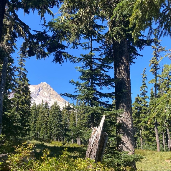 Meet your Posher, Adriana - Picture 1 of 1